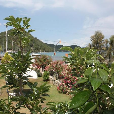 Palmiye Hotel & Marina Orhaniye  Exteriér fotografie