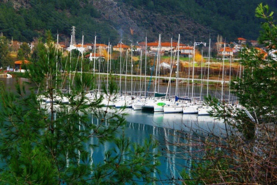 Palmiye Hotel & Marina Orhaniye  Exteriér fotografie