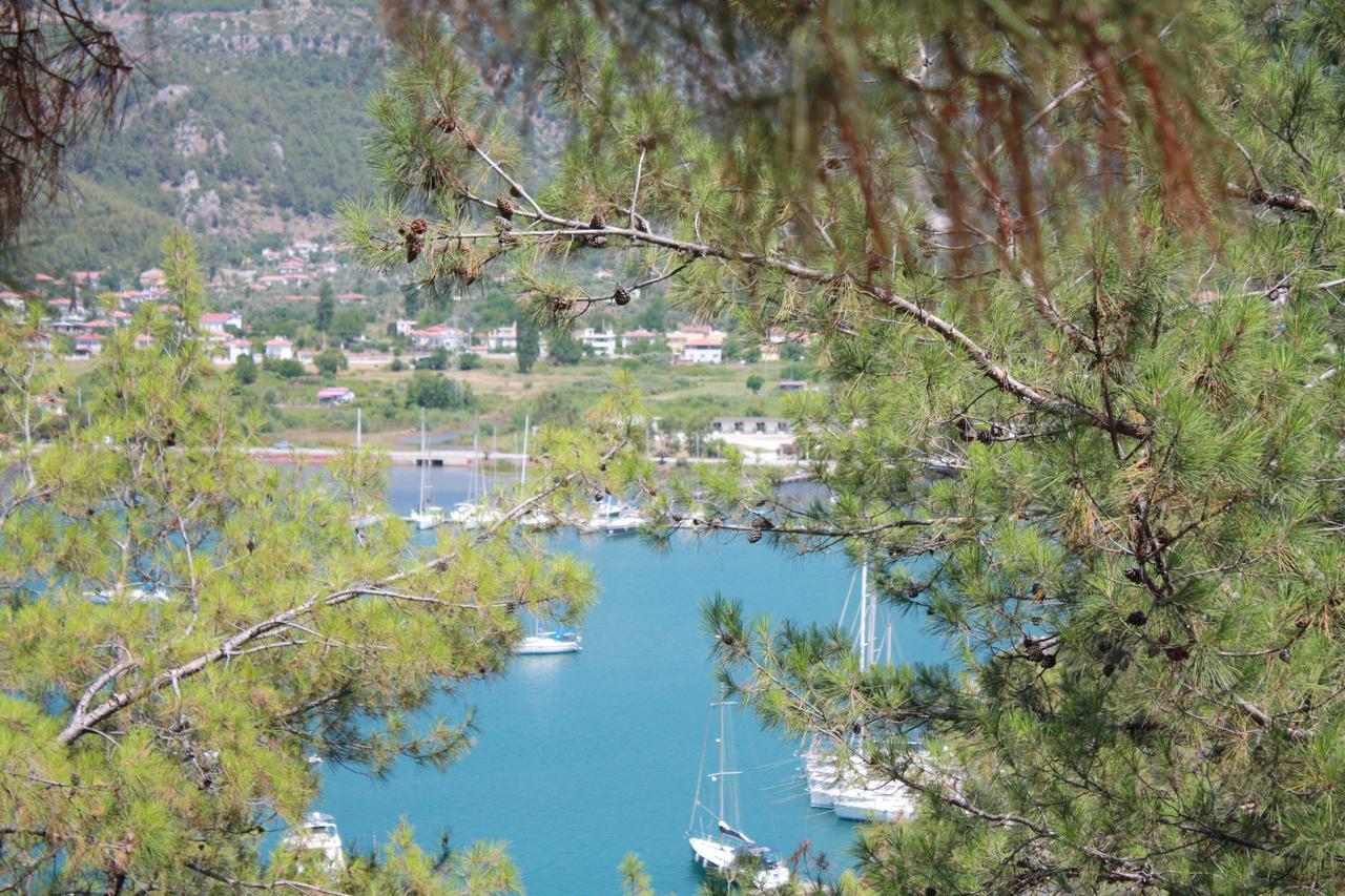 Palmiye Hotel & Marina Orhaniye  Exteriér fotografie